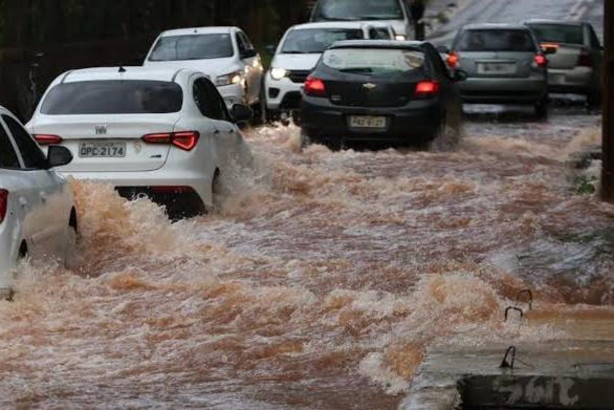Duplicação da Rua da Divisa, em Goiânia, pode ser um crime ambiental